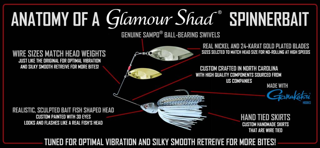 GS-ANATOMY-GRAPHIC-3